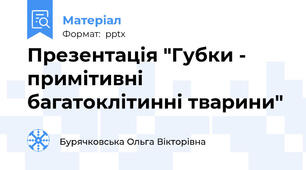 Презентація "Губки - примітивні багатоклітинні тварини"