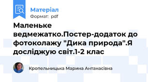 Маленьке ведмежатко.Постер-додаток до фотоколажу "Дика природа".Я досліджую світ.1-2 клас