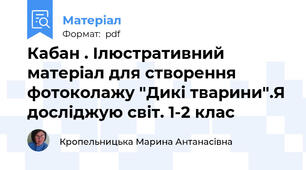 Кабан . Ілюстративний матеріал для створення фотоколажу "Дикі тварини".Я досліджую світ. 1-2 клас