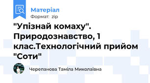 "Упізнай комаху". Природознавство, 1 клас.Технологічний прийом "Соти"
