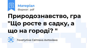 Природознавство, гра "Що росте в садку, а що на городі? "