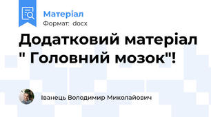 Додатковий матеріал " Головний мозок"!