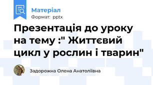 Презентація до уроку на тему :" Життєвий цикл у рослин і тварин"