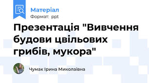 Презентація "Вивчення будови цвільових грибів, мукора"