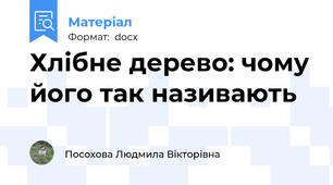 Хлібне дерево: чому його так називають