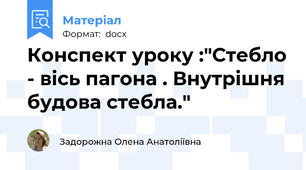 Конспект уроку :"Стебло - вісь пагона . Внутрішня будова стебла."