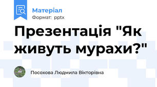 Презентація "Як живуть мурахи?"