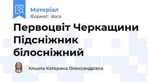 Первоцвіт Черкащини Підсніжник білосніжний
