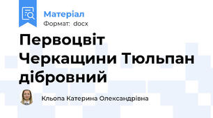 Первоцвіт Черкащини Тюльпан дібровний