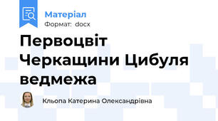 Первоцвіт Черкащини Цибуля ведмежа