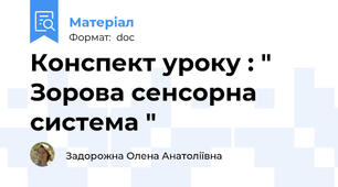 Конспект уроку : " Зорова сенсорна система "