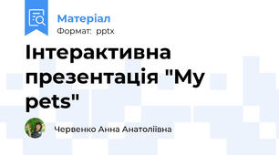 Інтерактивна презентація "My pets"
