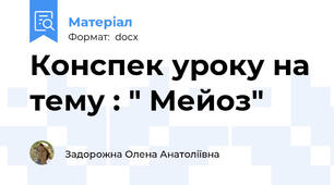 Конспек уроку на тему : " Мейоз"