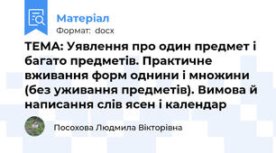 ТЕМА: Уявлення про один предмет і багато предметів. Практичне вживання форм однини і множини (без уживання предметів). Вимова й написання слів ясен і календар
