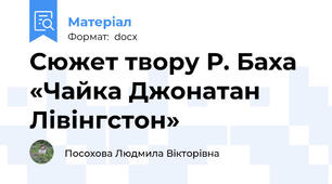 Сюжет твору Р. Баха «Чайка Джонатан Лівінгстон»