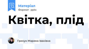Квітка, плід