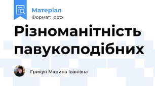 Різноманітність павукоподібних