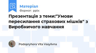 Презентація з теми:"Умови пересилання страхових мішків" з Виробничого навчання