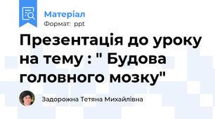 Презентація до уроку на тему : " Будова головного мозку"