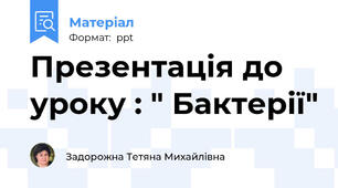 Презентація до уроку : " Бактерії"