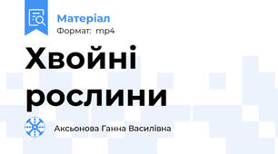 Хвойні рослини