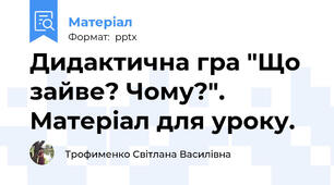 Дидактична гра "Що зайве? Чому?". Матеріал для уроку.