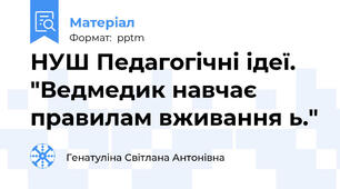 НУШ Педагогічні ідеї. "Ведмедик навчає правилам вживання ь."