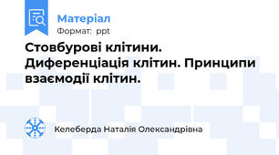 Стовбурові клітини. Диференціація клітин. Принципи взаємодії клітин.