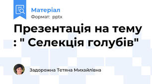 Презентація на тему : " Селекція голубів"