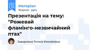Презентація на тему: "Рожевай фламінго-незвичайний птах"