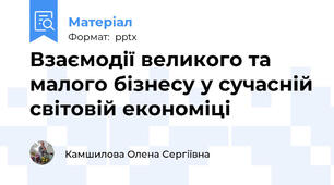 Взаємодії великого та малого бізнесу у сучасній світовій економіці