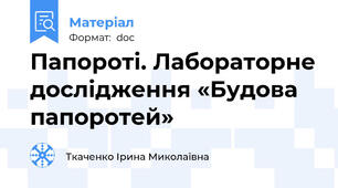 Папороті. Лабораторне дослідження «Будова папоротей»
