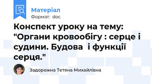 Конспект уроку на тему: "Органи кровообігу : серце і судини. Будова  і функції серця."