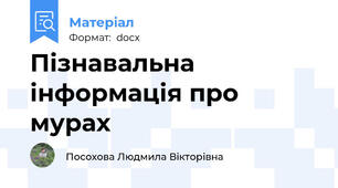 Пізнавальна інформація про мурах