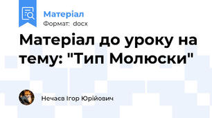 Матеріал до уроку на тему: "Тип Молюски"