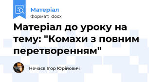 Матеріал до уроку на тему: "Комахи з повним перетворенням"