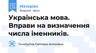 Українська мова. Вправи на визначення числа іменників.