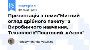 Презентація з теми:"Митний огляд дрібного пакету" з Виробничого навчання, Технології:"Поштовий зв'язок"