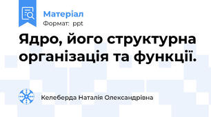 Ядро, його структурна організація та функції.
