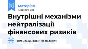 Внутрішні механізми нейтралізації фінансових ризиків