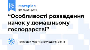 “Особливостi розведення качок у домашньому господарстві”