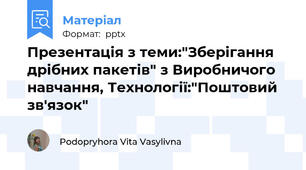 Презентація з теми:"Зберігання дрібних пакетів" з Виробничого навчання, Технології:"Поштовий зв'язок"