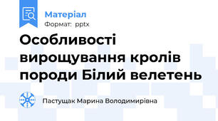 Особливості вирощування кролів породи Білий велетень