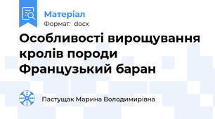 Особливості вирощування кролів породи Французький баран