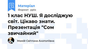 1 клас НУШ. Я досліджую світ. Цікаво знати. Презентація "Сом звичайний"