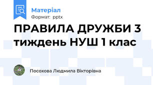ПРАВИЛА ДРУЖБИ 3 тиждень НУШ 1 клас