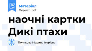 наочні картки Дикі птахи