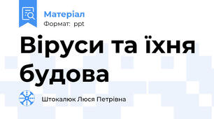 Віруси та їхня будова