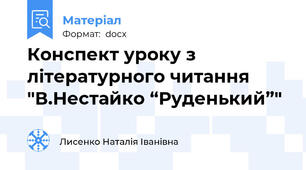 Конспект уроку з літературного читання "В.Нестайко “Руденький”"