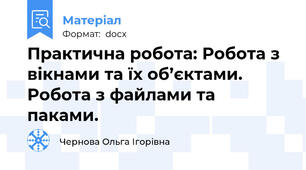 Практична робота: Робота з вікнами та їх об’єктами. Робота з файлами та паками.
